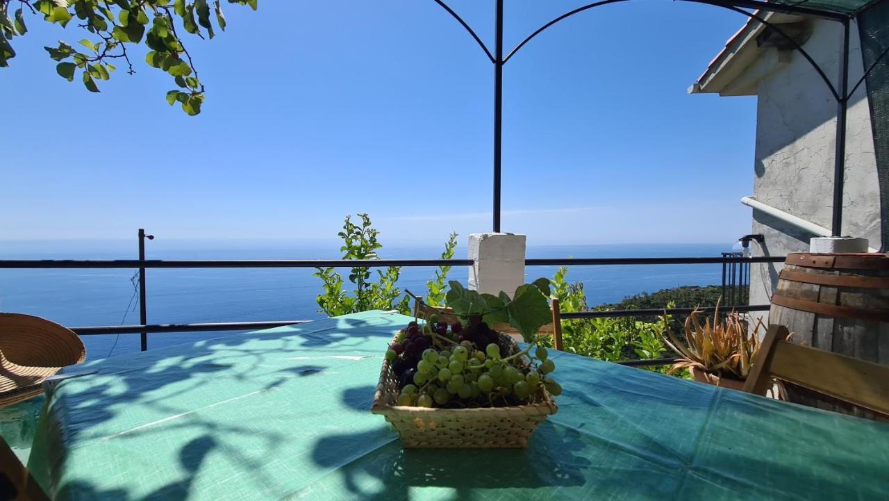 Sunset - Homy 5 Terre Retreat Apartment Biassa Exterior photo