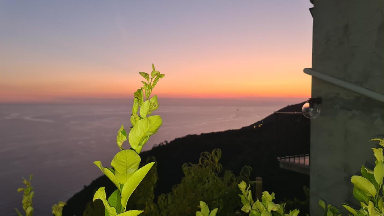 Sunset - Homy 5 Terre Retreat Apartment Biassa Exterior photo
